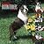 Boston Terriers 365 Days 20...