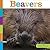 Beavers (Seedlings)