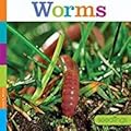 Worms
