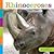 Rhinoceroses (Seedlings)