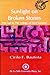 Sunlight on broken stones: The last in the Trilogy of Saint Lazarus (Centennial literary awards series)