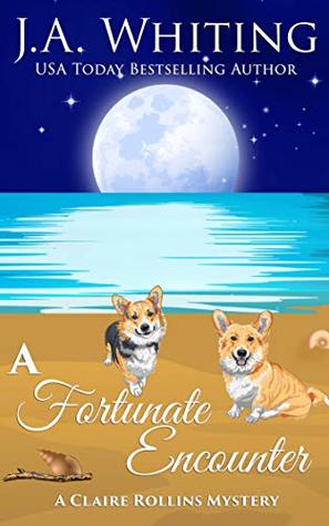 A Fortunate Encounter (A Claire Rollins Mystery, #6)