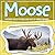 Moose: Discover These Pictu...
