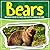 Bears: Discover These Pictu...
