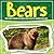 Bears: Discover These Pictures And Facts Of Bears For Kids
