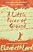 A Little Piece of Ground by Elizabeth Laird