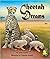 Cheetah Dreams