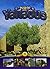 Yahadus Curriculum Book 3 by Living Lessons