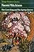 The Corn King And The Spring Queen by Naomi Mitchison