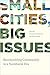 Small Cities, Big Issues by Christopher Walmsley