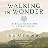 Walking in Wonder by John O'Donohue