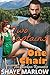 Two Captains, One Chair by Shaye Marlow