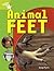 Animal Feet (Rigby Star Quest Year 1)
