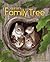 Squirrel's Family Tree