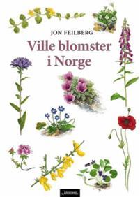 Ville blomster i Norge (Hardcover)