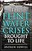 The Flint Water Crises Brought To Life by Andrew Howell