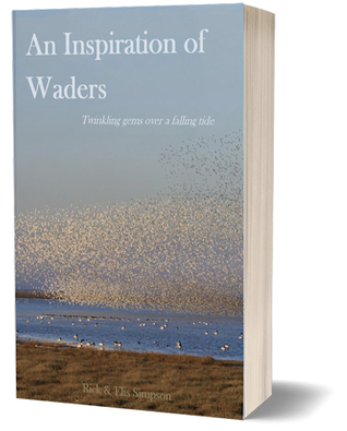 An Inspiration of Waders