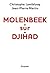 Molenbeek-Sur-Djihad (Documents Francais) (French Edition)