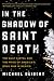 In the Shadow of Saint Death: The Gulf Cartel and the Price of America's Drug War in Mexico