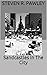 Sandcastles In The City by Steven R. Pawley