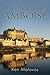 One Night In Amboise by Ken Malovos