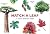 Match a Leaf A Tree Memory Game by KIRKHAM TONY