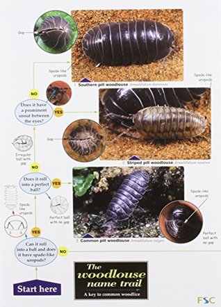 Woodlouse Name Trail (WildID)