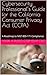Cybersecurity Professional’s Guide for the California Consume... by Mark A. Russo