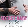The Secret Baby B...