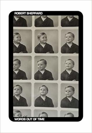 Words out of Time: Autrebiographies and Unwritings (Paperback)