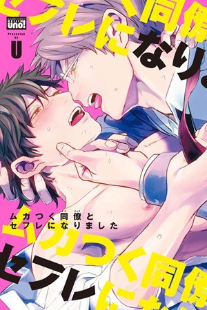 Sleeping with the Enemy (ebook)