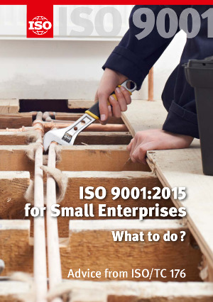 ISO 9001:2015 for Small Enterprises - What to do?