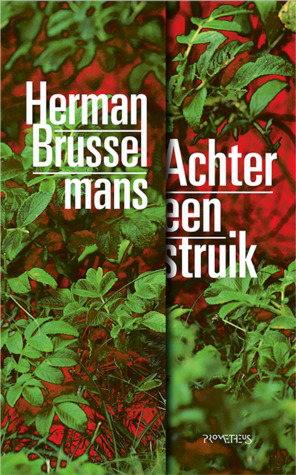 Achter een struik (Paperback)