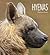 Hyenas
