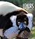 Lemurs (Living Wild)