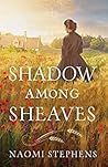 Shadow Among Sheaves
