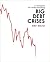 A Template For Understanding Big Debt Crises