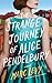 The Strange Journey of Alice Pendelbury by Marc Levy