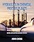 Hydraulics in Chemical Proc...