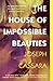 House Of Impossible Beauties by Joseph Cassara