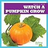 Watch a Pumpkin Grow by Kirsten Chang