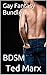 Gay Fantasy Bundle 3: BDSM