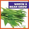Watch a Bean Grow by Kirsten Chang