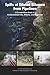 Spills of Diluted Bitumen from Pipelines: A Comparative Study of Environmental Fate, Effects, and Response