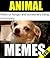 Memes: Animal Memes and Jokes: Mad Funny XXL High Quality Cat And Animal Clean Meme Book 2018 (Meme Master)