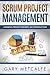 Scrum Project Management: Avoiding project mishaps: an introduction