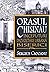 Orașul Chișinău. Începuturi...