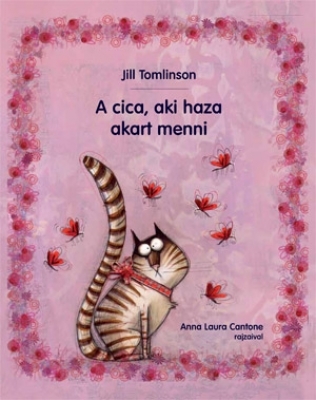A cica aki haza akart menni