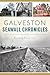 Galveston Seawall Chronicles (Landmarks)