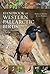 Handbook of Western Palearc...